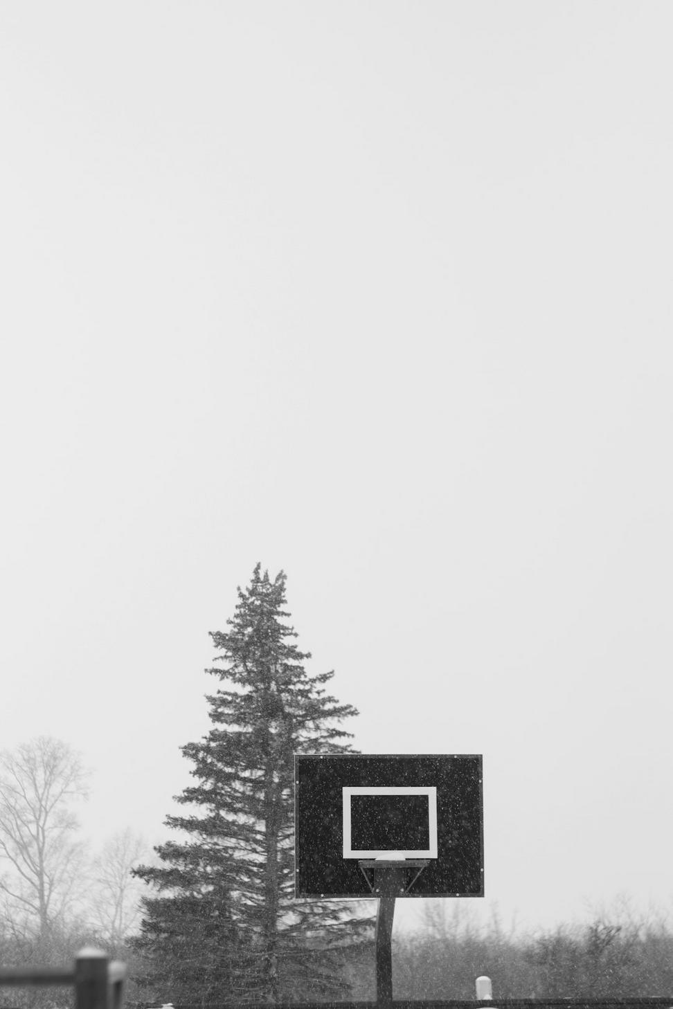 Rosedale Passive House